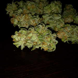 Wonder Woman Bud Pic 2