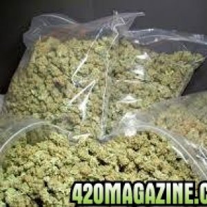 Researched medical marijuana strains