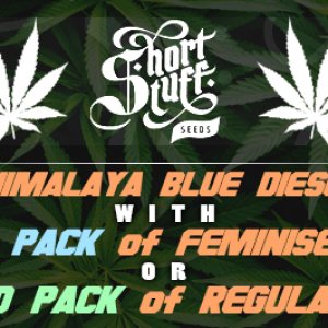 Promo Short Stuff Seeds