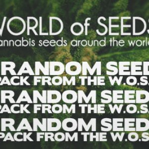 World of Seeds Promo