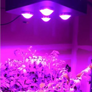 Spider COB LED Grow Light