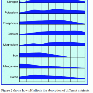 AN ph chart