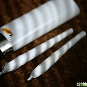 Joints Feat. Bic!