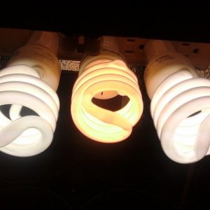 3 x 23w 5000K/2700K CFLs