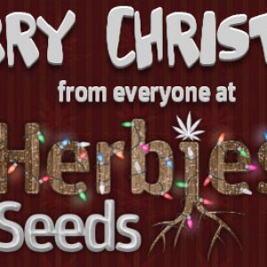 Merry Christmas from Herbies