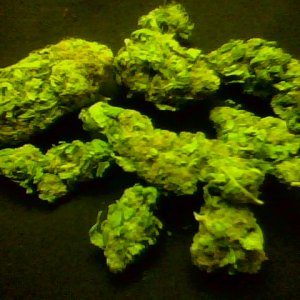 my nugs lol