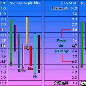 pH_chart712