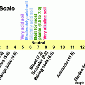 pH-scale