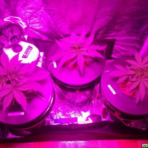 Jan_17_Day21_Group_Photo