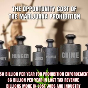 marijuana-prohibition-opportunity-cost