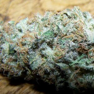 SUPER SKUNK