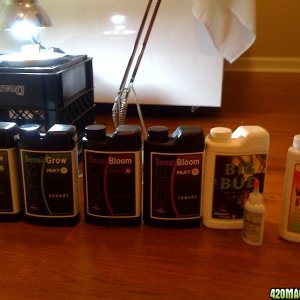 bloombox supplies