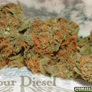 Sour Diesel