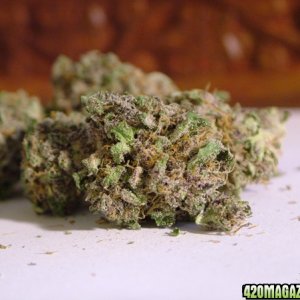 All Star Sweet Purple