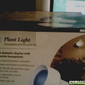 plant light box