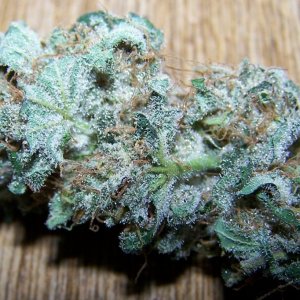 SUPER SKUNK