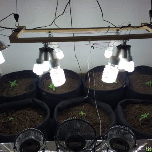 CFL SetUp