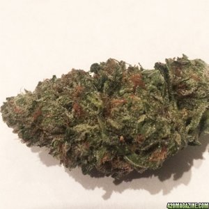 Muerte (Indica)