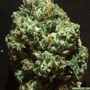 Muerte (Indica)