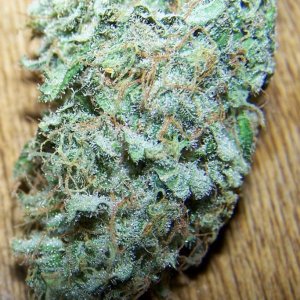 SUPER SKUNK