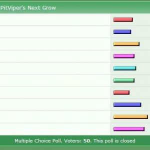 PitPoll_Seedmadness