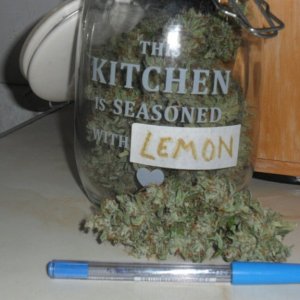 lemon auto