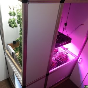 Grow room