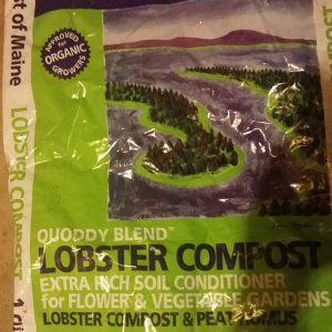 Lobster Compost