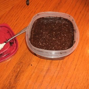 soil preparing to test