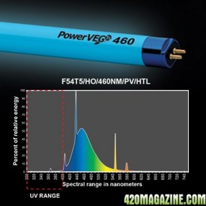 end-power-veg-460