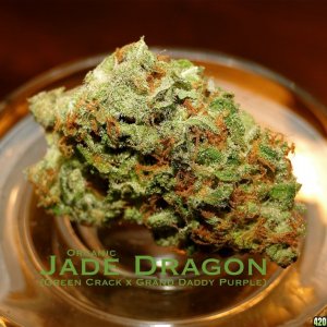 Organic Jade Dragon (Green Crack x Grand Daddy Purple)