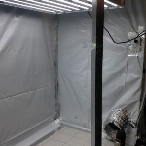 Day_58_gene_room