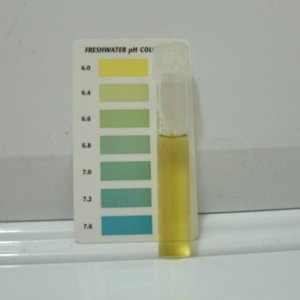 pH testing runoff