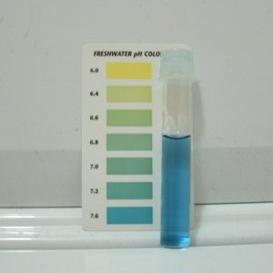 pH testing plain water