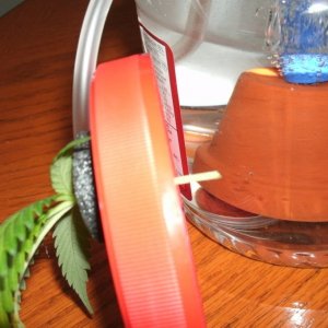 DIY bubble cloner