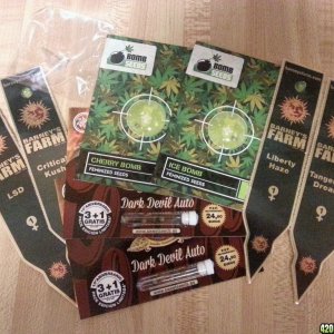 Gorilla Seeds order