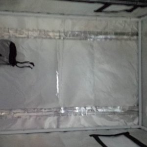 small grow tent 2x2x3