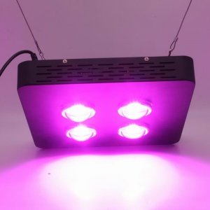 Spider Plus COB LED Grow Light