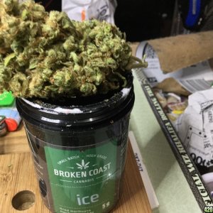 STRAINS from THE BEST PRODUCER of Medical Marijuana