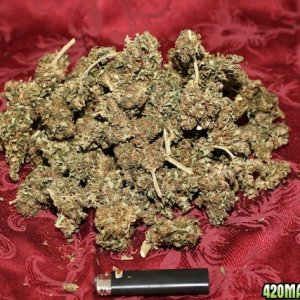 Strawberry Cough_Bud_01