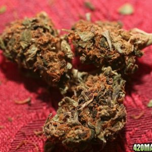 Strawberry Cough_Bud_03