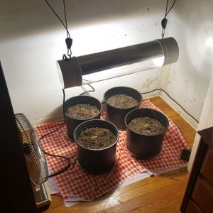 grow room