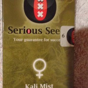 Kali Mist (Serious Seeds)