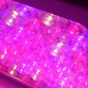 GS 300, GS 600 LED GROW LIGHT