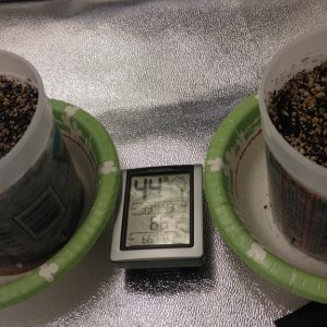 Grow setup