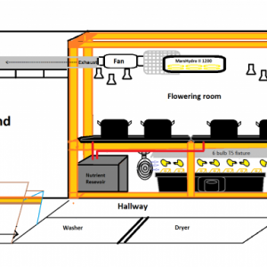 layout21