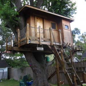 treehouse_0031