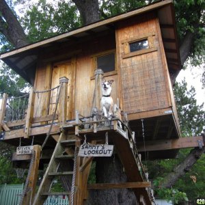 treehouse_0081