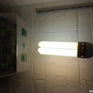 Humidity Chamber and CFL Light