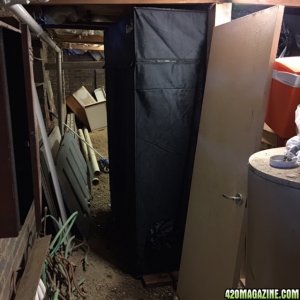 Gorilla Grow Tent